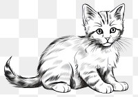 PNG Cute kitten drawing mammal animal. 