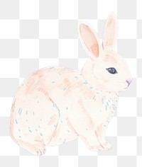 PNG  Rabbits animal rodent mammal. AI generated Image by rawpixel.