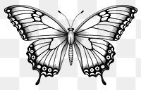 PNG Minimal buterfly sketch butterfly drawing. 