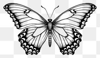 PNG Minimal buterfly sketch butterfly drawing. AI generated Image by rawpixel.