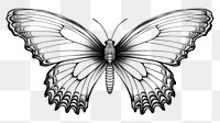PNG Minimal buterfly sketch drawing white. AI generated Image by rawpixel.