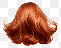 PNG Healthy hair stock adult wig white background. 
