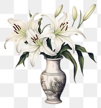 PNG Lily vintage vase flower. 