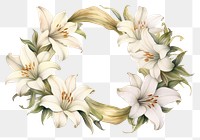 PNG Lily wreath vintage flower plant. 