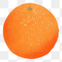 PNG Orange grapefruit plant food. AI generated Image by rawpixel.