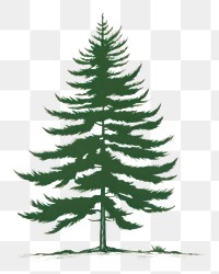 PNG Pine tree plant fir tranquility. AI generated Image by rawpixel.