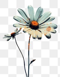 PNG Daisy flower plant art. AI generated Image by rawpixel.