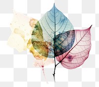 PNG Leaf plant art creativity. AI generated Image by rawpixel.