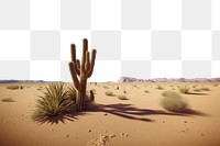 PNG Cactus desert landscape outdoors