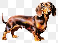 PNG Dachshund dog dachshund animal mammal. AI generated Image by rawpixel.