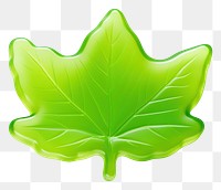 PNG Leaf plant shape green. AI generated Image by rawpixel.