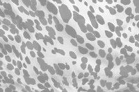 PNG Cow pattern leopard mammal backgrounds. 