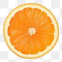 PNG  Can grapefruit plant food. AI generated Image by rawpixel.