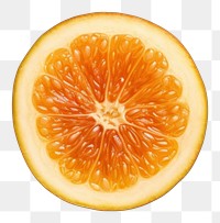 PNG  Date fruit grapefruit plant food. AI generated Image by rawpixel.