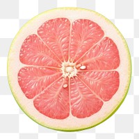 PNG  Pomelo grapefruit plant food. AI generated Image by rawpixel.