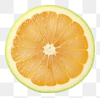 PNG  Pomelo grapefruit lemon plant. AI generated Image by rawpixel.