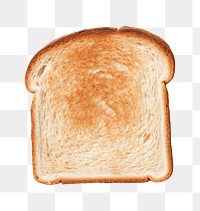 PNG Whole wheat toasted bread food whole wheat breakfast. AI generated Image by rawpixel.