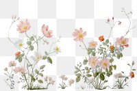 PNG Painting of bush bloom border wallpaper flower plant. .