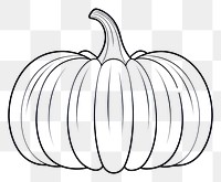 PNG  Pumpkin sketch vegetable drawing. AI generated Image by rawpixel.