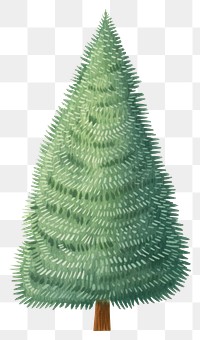 PNG Christmas tree plant fir white background. AI generated Image by rawpixel.