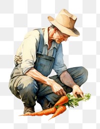 PNG Farmer picking a carrot gardening outdoors adult. AI generated Image by rawpixel.
