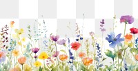 PNG Summer flower field backgrounds outdoors blossom. .