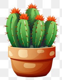 PNG  Cactus cactus plant white background. AI generated Image by rawpixel.