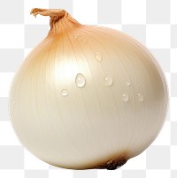 PNG Onion vegetable shallot food. AI generated Image by rawpixel.