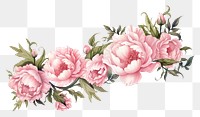 PNG Peony pattern flower plant. .