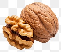 PNG Walnut walnut plant food. AI generated Image by rawpixel.