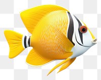 PNG A Angel fish animal white background pomacentridae. AI generated Image by rawpixel.