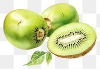 PNG Kiwi Fruit fruit plant food. 