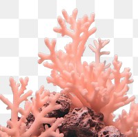 PNG Coral reef underwater outdoors nature. AI generated Image by rawpixel.
