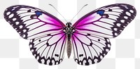 PNG Butterfly animal insect  