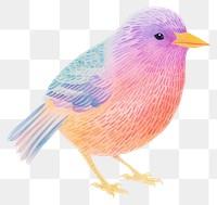 PNG Bird animal white background creativity. AI generated Image by rawpixel.