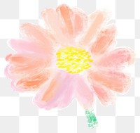 PNG Daisy flower petal plant. AI generated Image by rawpixel.