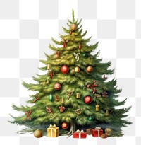 PNG Christmas Tree christmas tree plant. 