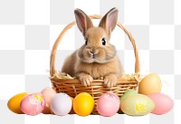 PNG Easter basket egg rodent. AI generated Image by rawpixel.