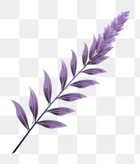 PNG Lavender lavender purple flower. AI generated Image by rawpixel.