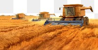 PNG Harvest harvest field agriculture. AI generated Image by rawpixel.