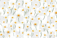 PNG Daisy pattern outdoors flower. AI generated Image by rawpixel.
