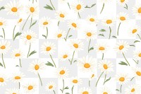 PNG Daisy pattern flower plant. AI generated Image by rawpixel.