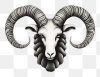PNG  Aries livestock drawing animal. AI generated Image by rawpixel.