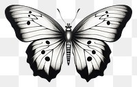 PNG  Butterfly butterfly drawing insect. AI generated Image by rawpixel.