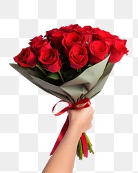 PNG Hand holding red rose flower bouquet wrapped plant inflorescence. 