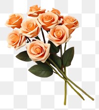 PNG Peach rose bouquet flower petal plant. AI generated Image by rawpixel.
