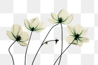 PNG Green flowers petal plant white. AI generated Image by rawpixel.