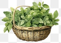 PNG A mini basket filled with green vegetables plant herbs leaf. AI generated Image by rawpixel.