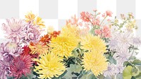 PNG  Chrysanthemum garden backgrounds chrysanths painting