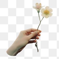 PNG Hand holding a flower in front of hills photography landscape outdoors. AI generated Image by rawpixel.